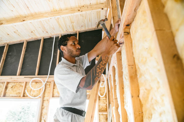 Best Batt and Roll Insulation  in Stony Point, MI